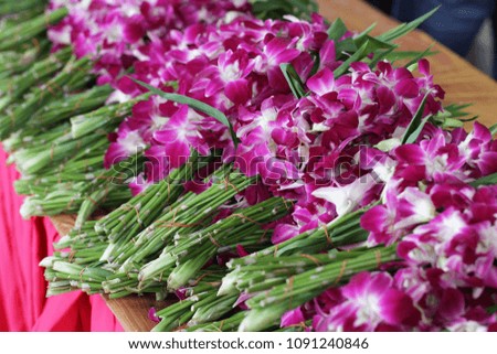 Closeup group organic Orchids flowers and green leaves wrapped by elastic rubber band, freshness blossom in the market background in garden