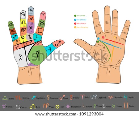 chiromancy hand infographic. palmistry vector drawing illustration