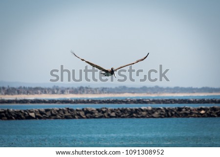 A photo of a pelican flying near a the breakwater jetty near Sunset Beach