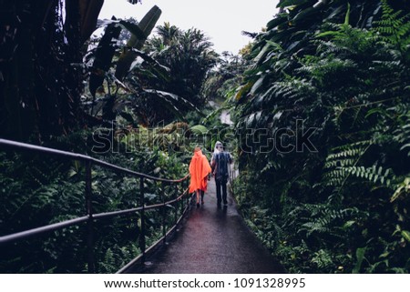 travelers walking into rainforest 