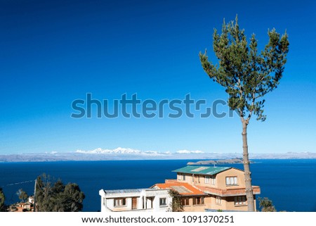Tall tree with Lake Titicaca and the Andes Mountains in the background on Isla del Sol in Bolivia