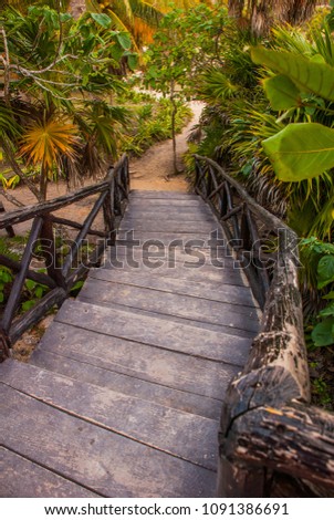 Wooden bridge of the boards goes down. Tulum, Riviera Maya, Yucatan, Mexico