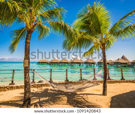 Hammock between palm trees on the beach. Summer vacation concept.