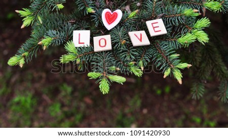 
beautiful card with wooden letters with a word text love with a heart on a tree branch on nature for a Valentine's day holiday and mother's day