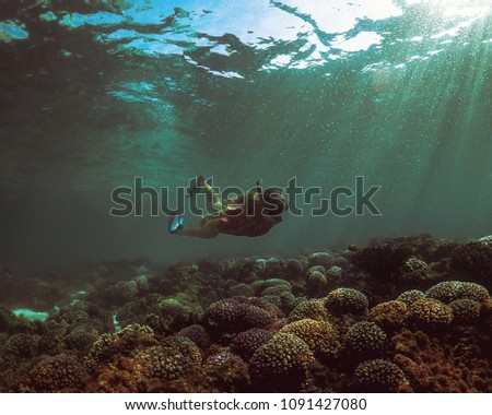 Snorkel underwater by a coral reef