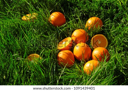oranges on green grass
