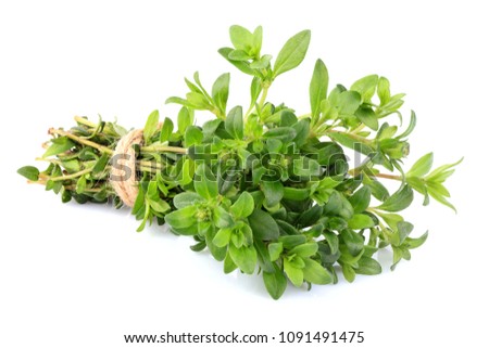 Thyme fresh herb closeup isolated on white background. Royalty-Free Stock Photo #1091491475