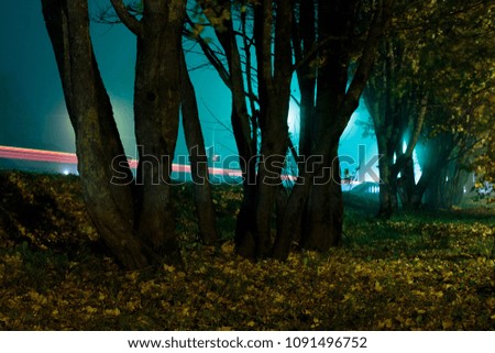 trees near the road at night photo with endurance