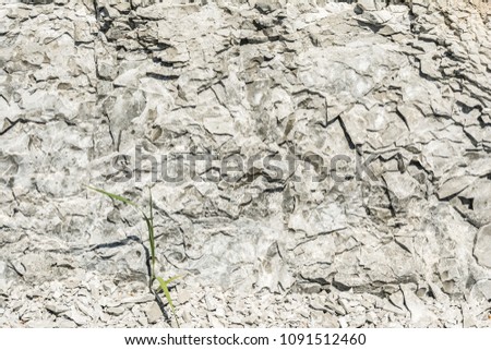 relief texture of an old destroyed granite stone with one green plant, geology abstract background