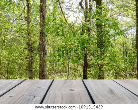 Selective focus image of empty wooden table with green forest as background with morning sun.