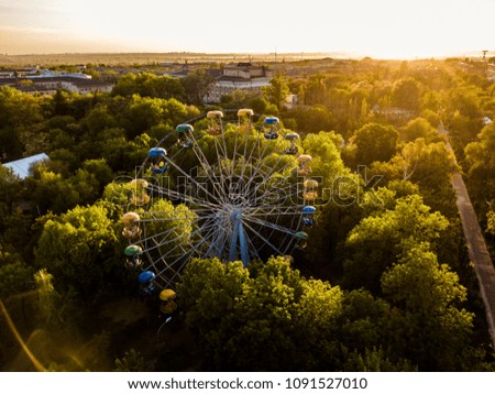 aerial ferris wheel in the park between the trees on a  summer day