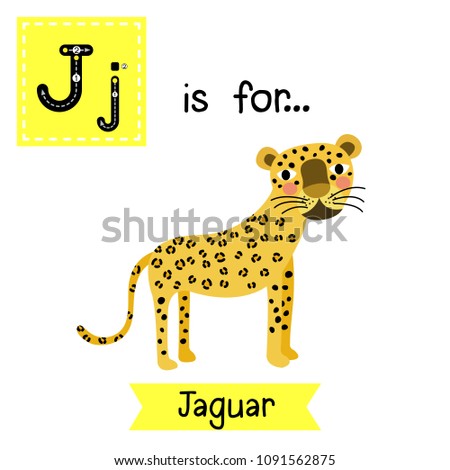 Cute children zoo alphabet J letter tracing of Jaguar for kids learning English vocabulary. Vector illustration.