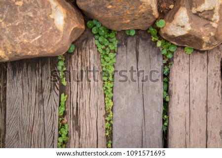 Top view of Wooden walkway in garden Decorated with stone and Natural tree.