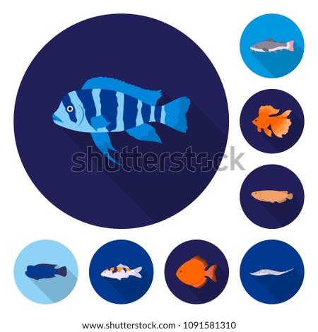 Different types of fish flat icons in set collection for design. Marine and aquarium fish vector symbol stock web illustration.