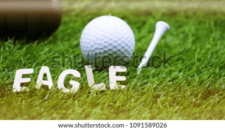 Golf ball with word EAGLE are on green grass