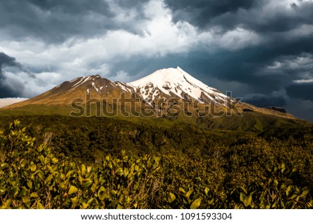 Mount  Taranaki beauty