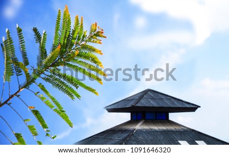 Close upTamarind leaves,Green leaf and roof home  on blue sky background
