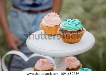 blue and pink cakes candy bar. festive celebration in nature