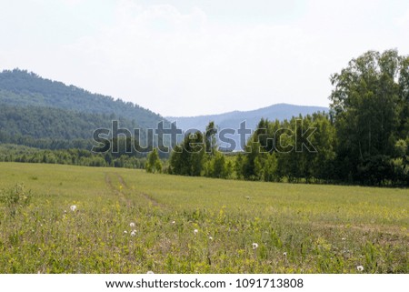 Panorama of the mountain valley. View of a green field with mountains in the background. The rural road crosses the green meadow on the background of the mountains. White clouds over the mountains