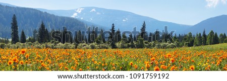 Beautiful spring landscape, spring in the mountains Royalty-Free Stock Photo #1091759192