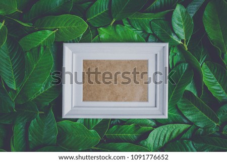 Creative frame made of leaves with frame picture . Flat lay  Nature concept