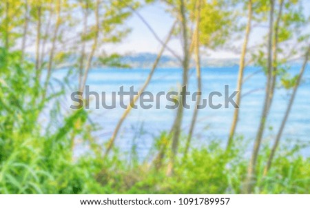 Defocused background of Lake view among trees. Intentionally blurred post production for bokeh effect