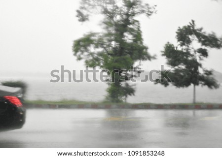blurry trees by the city lake in the rain through car window