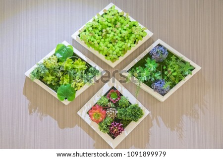 Flower in a pot on a wooden wall. Green grass plant in vintage pot decorating on  wall. Square green plants and flower on the wall.

