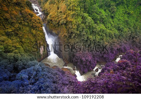 Magic Colorful  Deep Forest And Beautiful Waterfall