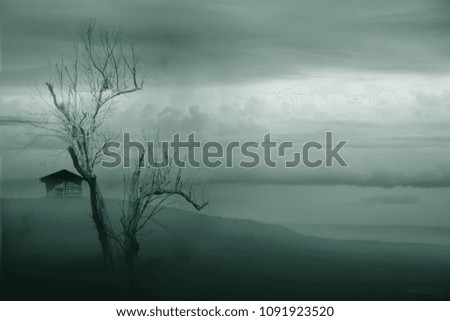 Lonely Cottage in winter with dry tree