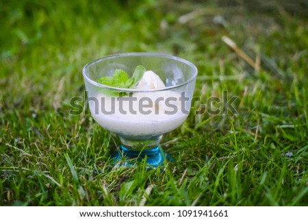 Icecream with fresh green mint leaves in a transparent vase on summer nature background.