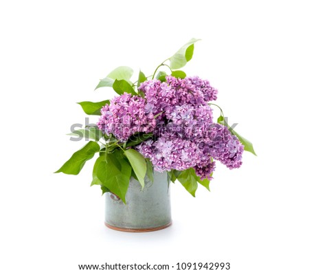 A bouquet of pink lilac in a ceramic vase on a clean white background. Isolated.
