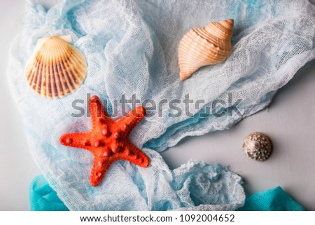 Seashells and starfish on cian and white cloth