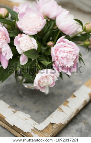 bouquet of peonies and gray background