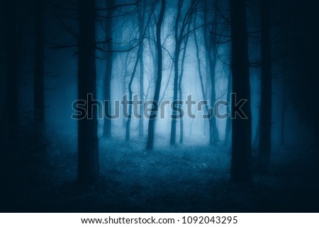 dark scary forest with creepy trees 