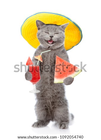 Happy cat in summer hat  holds slice  watermelon and tropic cocktail. isolated on white background