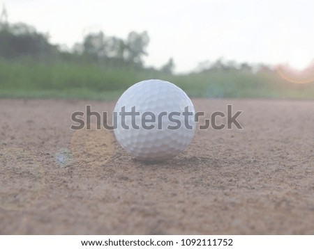 Golf on the Green