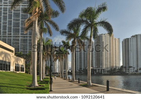 Florida. Miami. Beautiful high-rise buildings on the shore in a bright sunny day