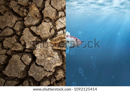 Climate Change and Global warming concept. Fish bone on cracked earth and Fish in ocean metaphor climate change impact to Aquatic Animals Royalty-Free Stock Photo #1092125414