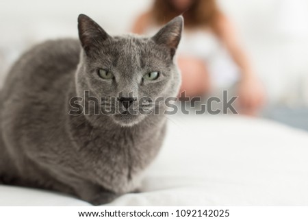 Close up to cat with pregnant woman in background