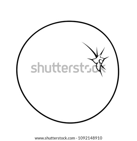 Vector illustration, isolated orange fruit in black and white colors, outline hand painted drawing