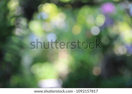 Blurred garden, Bokeh background, Natural background