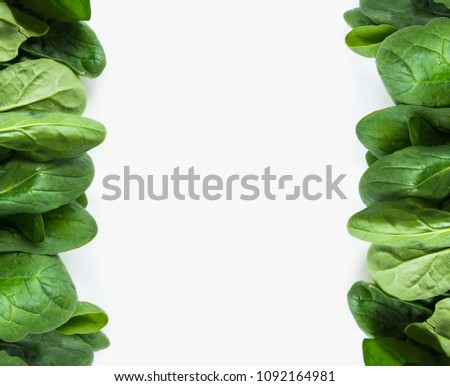 Green spinach at border of image with copy space for text. Top view. Spinach on a white background.