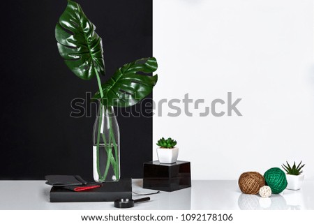 Composition. Green leaves in bottle with notepad on white and black background. Front view, copy space.