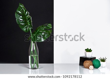 Composition. Green leaves in bottle on white and black background. Front view, copy space.