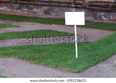Design grass place with the white plate. Copy space