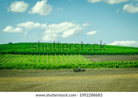 People are working with tractor on the green field. Agriculture works picture
