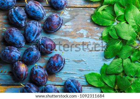 Plums fresh overhead colorful arrangement with green leaves on old rustic blue wooden table in studio