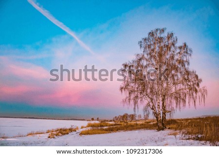 pink sunset in winter