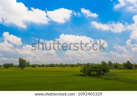 Green fields and sky